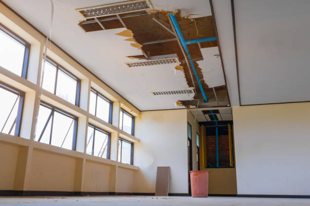 Best Flood damage cleanup  in Raubsville, PA
