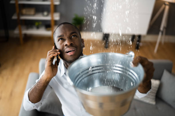 Best Local water damage restoration  in Raubsville, PA