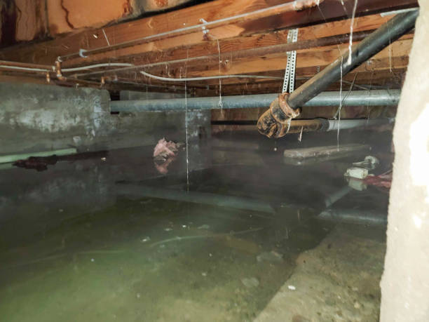Best Fire Damage Restoration  in Raubsville, PA