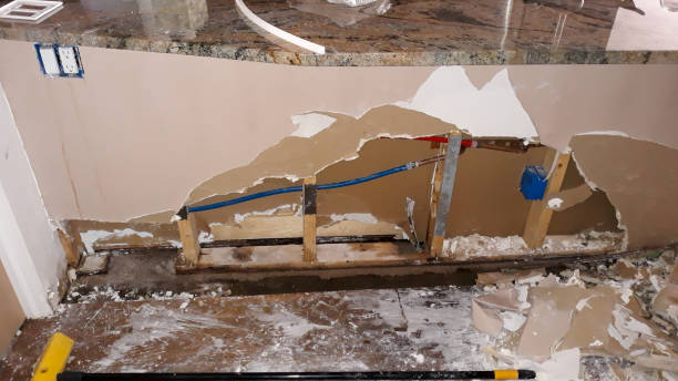 Best Water damage restoration mold remediation  in Raubsville, PA
