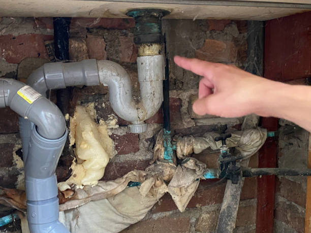 Best Mold removal after water damage  in Raubsville, PA