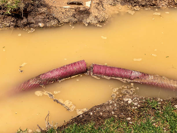  Raubsville, PA Water damage restoration Pros